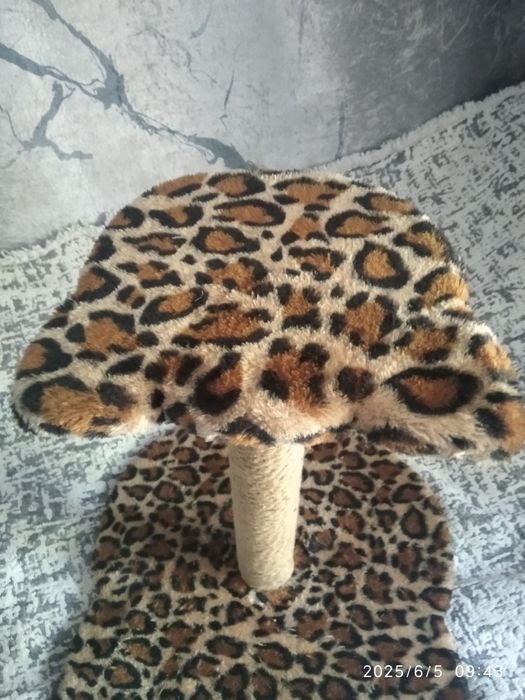 Когтеточка для кошек