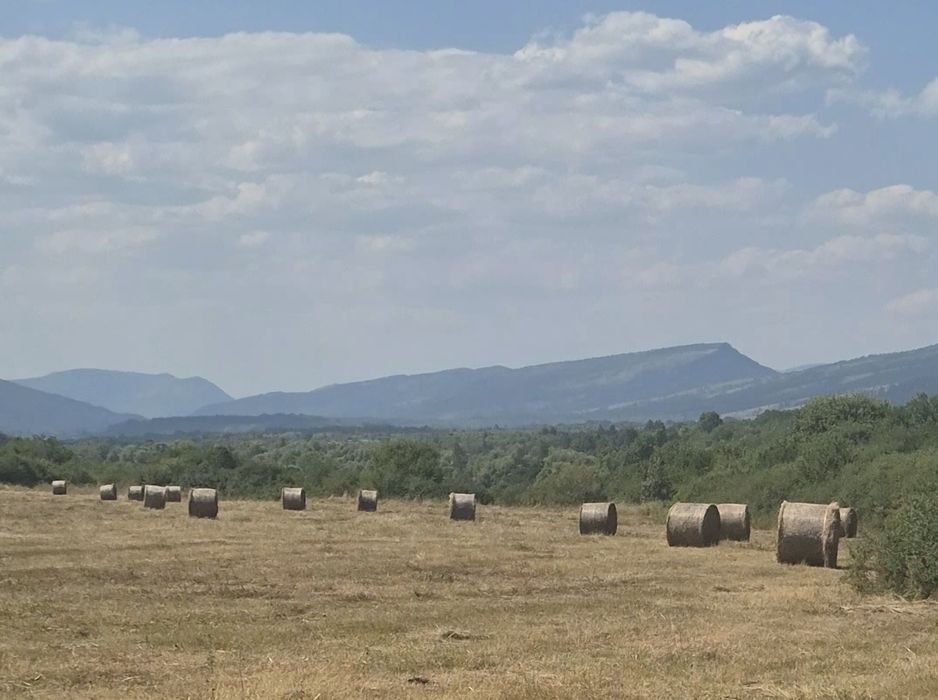 Рулонни бали сено