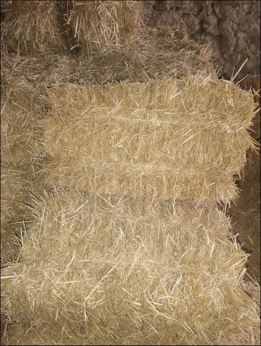 Somon press qamishli