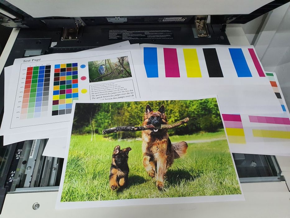 Konica Minolta Bizhub C364e COLOR