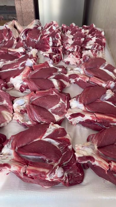 Qoy куй кой qochqorlar sotiladi 20 kg 60kg bor