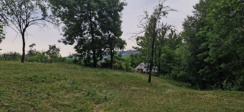Teren intravilan munte - Arefu Transfăgărășan