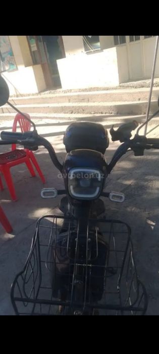Sikuter xamma narsasi bor