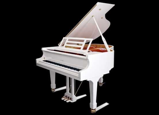 Роял Feurich 162 – DYNAMIC I