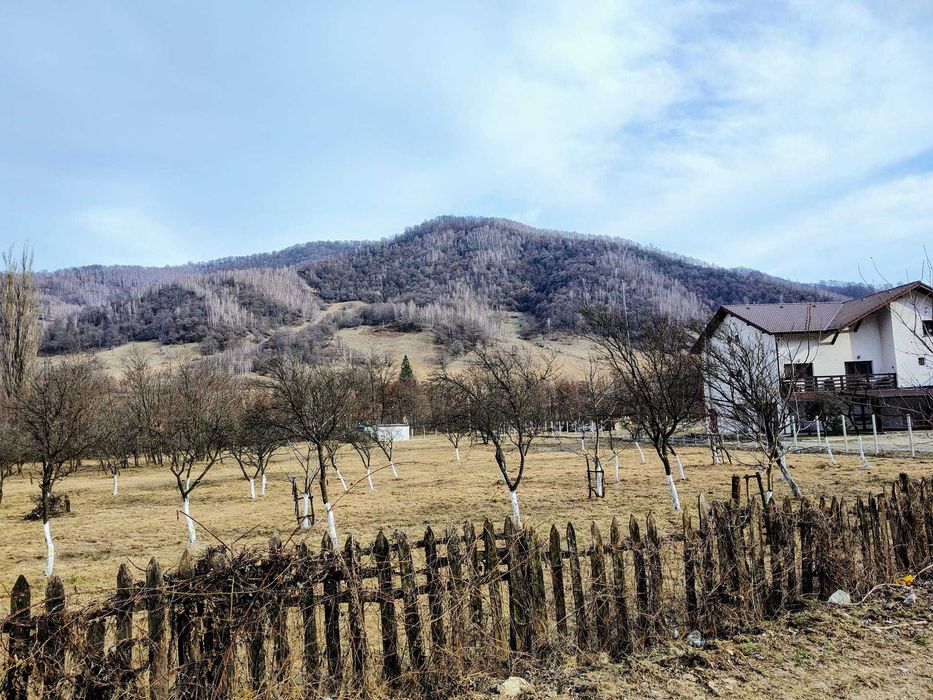 Parcela intravilan de vânzare