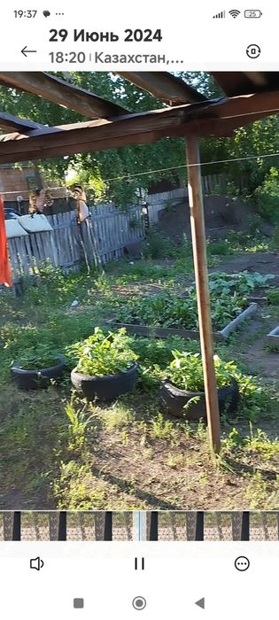 Продаю дачу не дорого