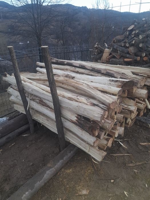 Se vând sâlpi de salcâm