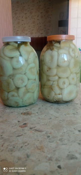 Грибы солено- вареные!