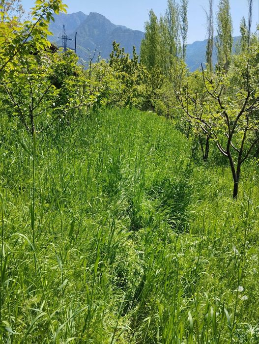 Йер сотилади 16 сотих