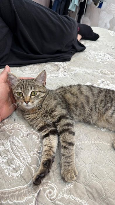 Мальчик 4мес ищет дом