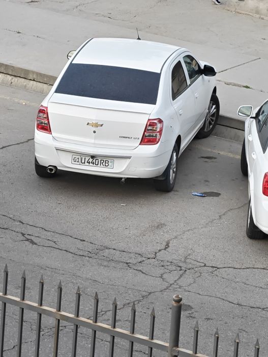 Cobalt 2023  style 4 pozitsita