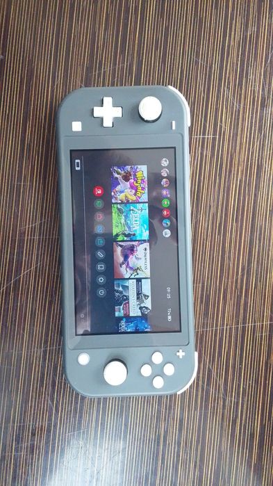 Nintendo switch lite