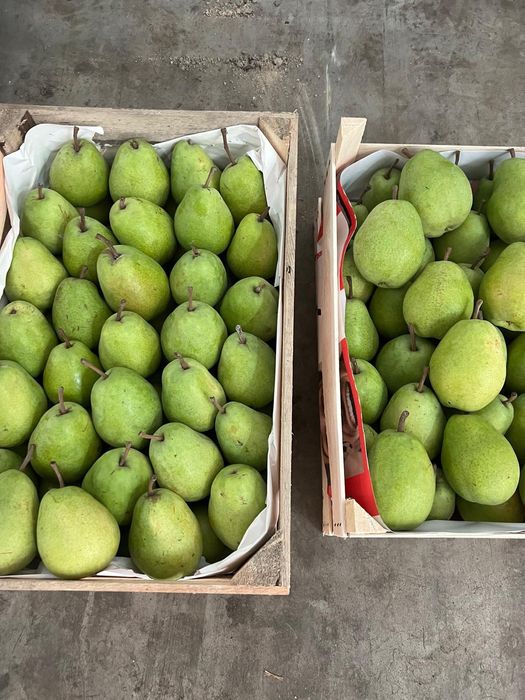 Vind mere Polonia calitatea extra