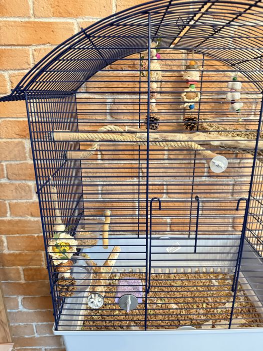 Colivie/cusca pasari papagali