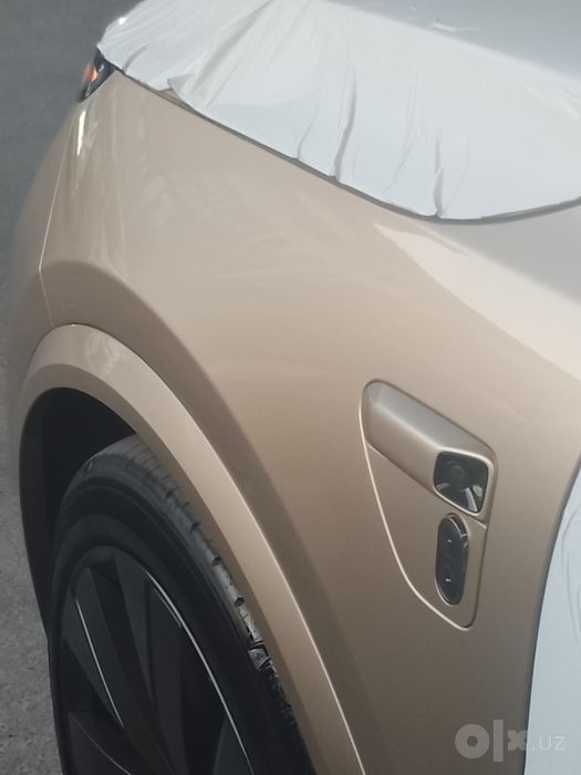 Li L9 Livis gold titanium kofe salon