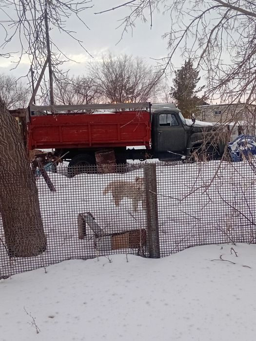 Продам Газ 53 самосвал