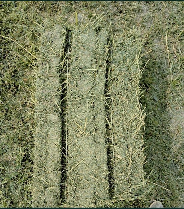 Zõr Beda Press Sotiladi