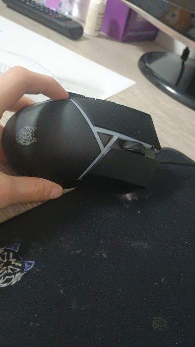Mouse gaming ...