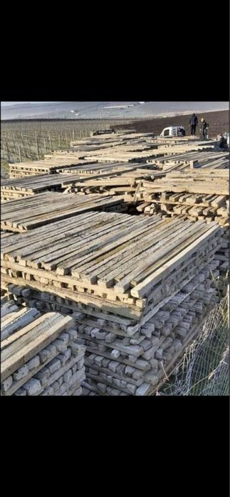 Spalieri beton pentru vie si gard