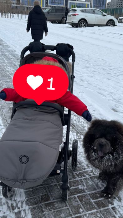 Cybex Balios S 2 в 1, люлька + прогулочный блок