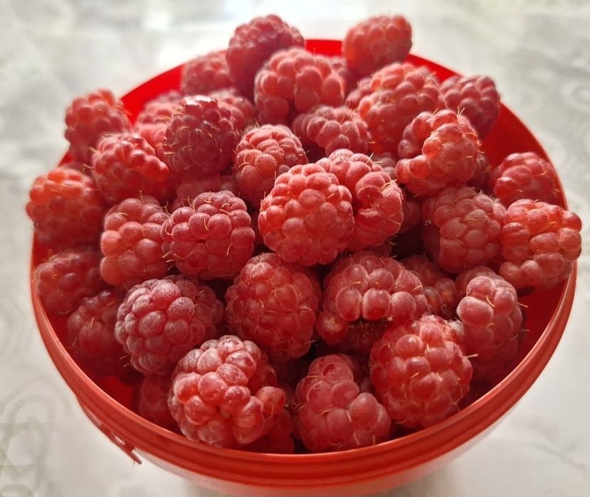 Продам малину 3 литра