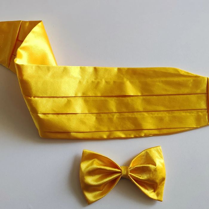 Набор для маленьких джентельменов. Осенний бал. Пояс и бабочка.