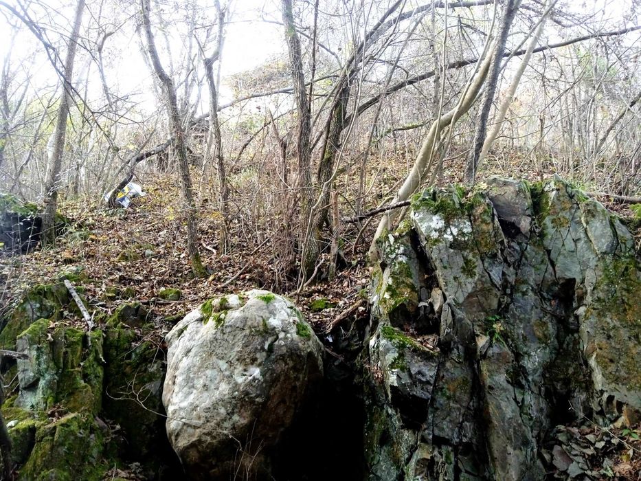 Продавам малка вила