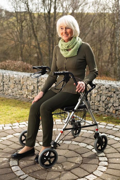 Прогулочная коляска RIDDER Walker ECO для пожилых людей