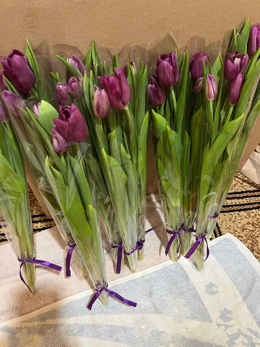 тюльпаны оптом, в розницу 600