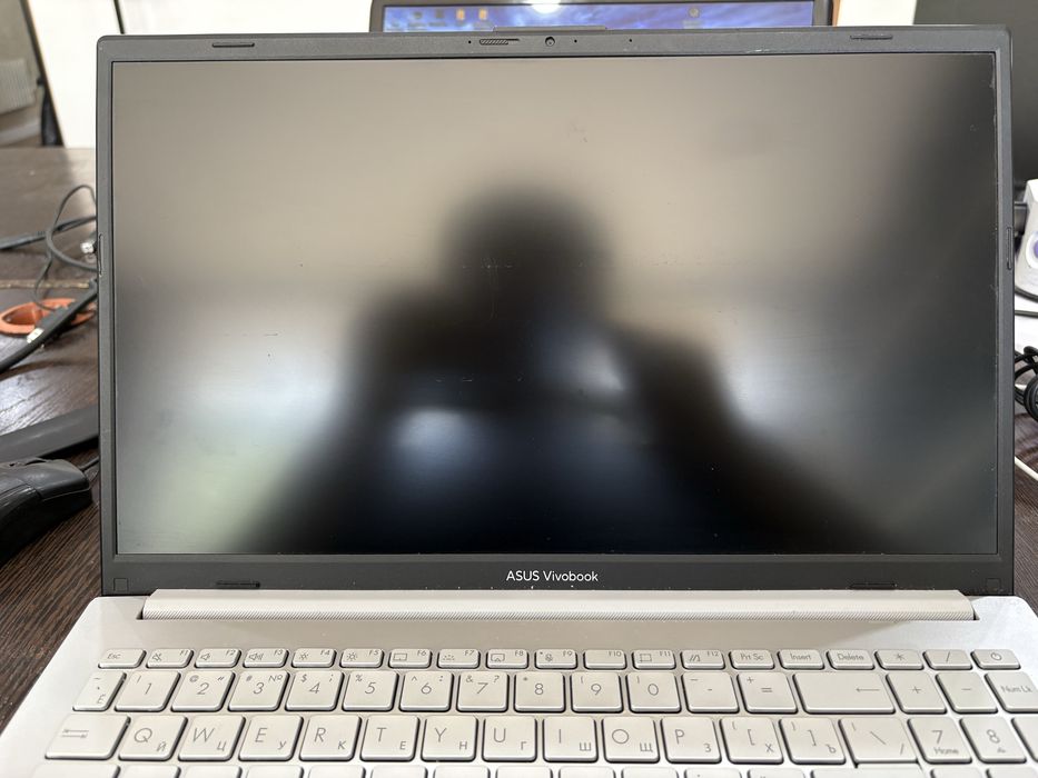 Asus VivoBook Go 15