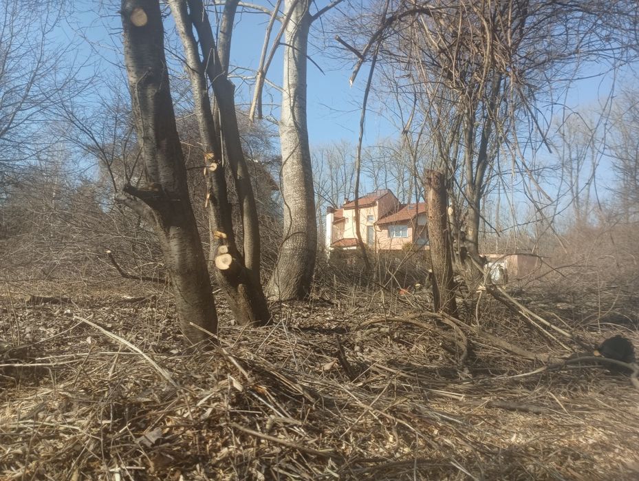 Почистване на парцели дворове и запустели имоти