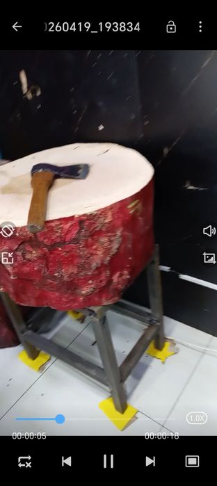 Goshtonka aga zakas olamza