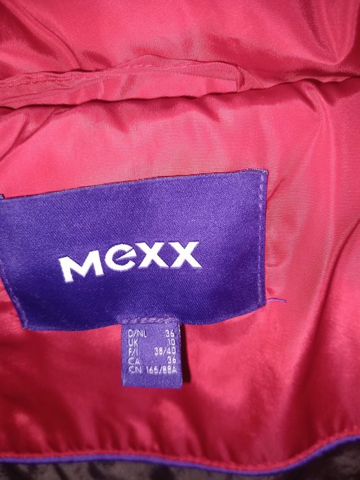 Jacheta Mexx dama
