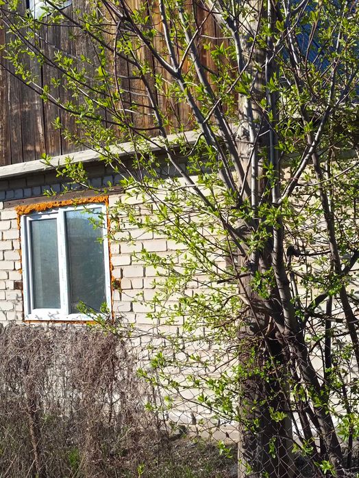 Зимняя,, баня ,уголь, дрова,