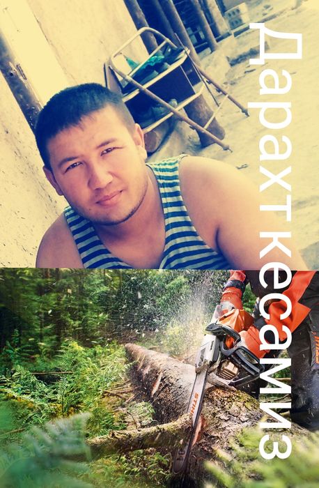 Daraxt kesish дарахт кесиш бензапела услугя