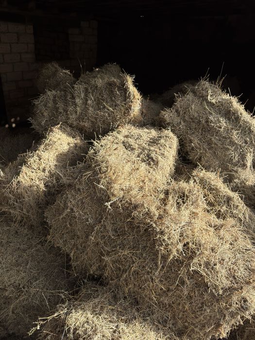 Тук сатылады жусан