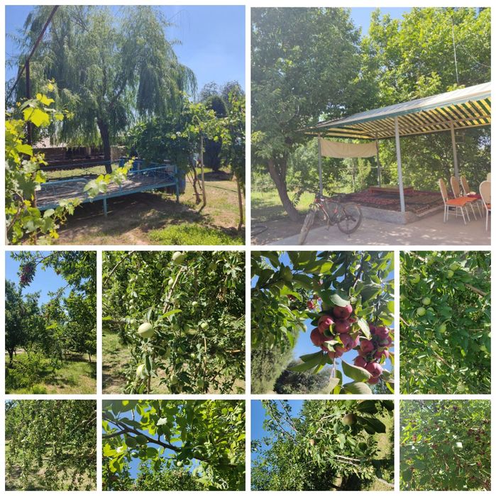 Yangi Toshkent 1,3 Ga  Ферма сотилади срочно. !!