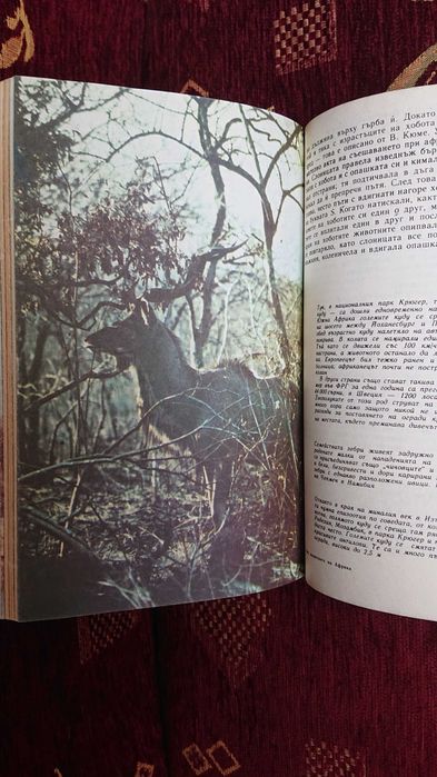 Сред животните на Африка от Бернхард Гжимек.