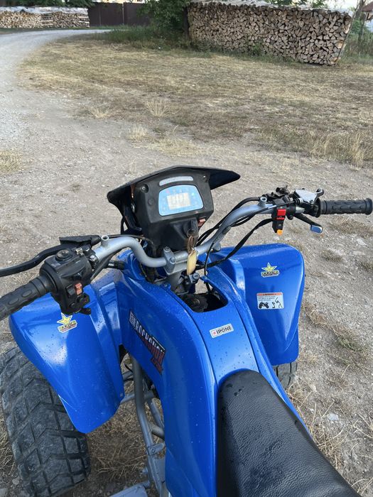 Vand atv Bashan 200S-7