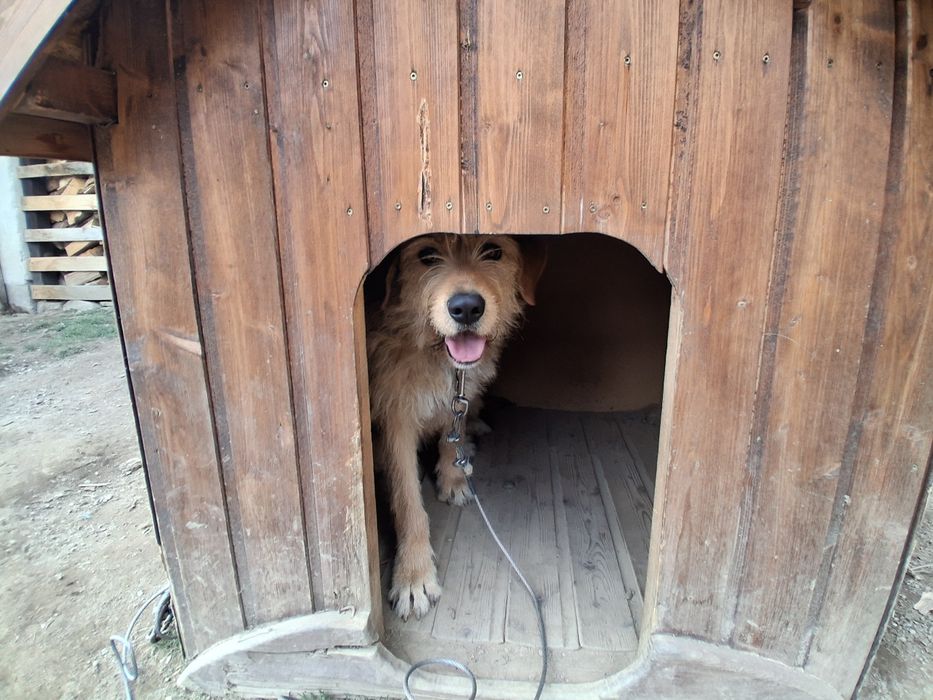 Ловджийски барак