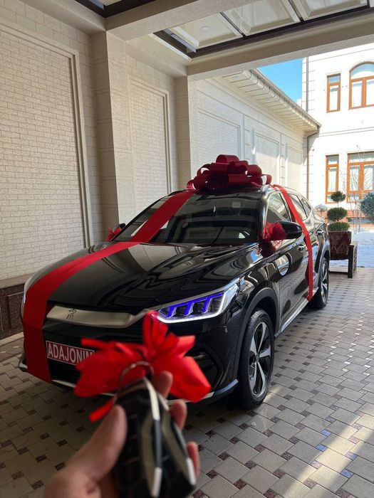 Bantik bant lenta автобантик МЕД ГОРОДОК