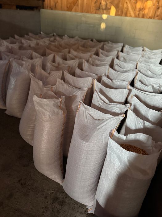 Porumb boabe insacuit