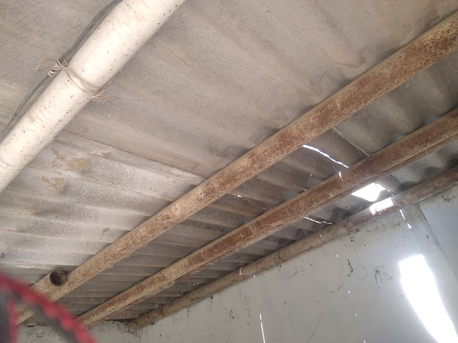 Труба сотаман. Россиянки.,  89 лик