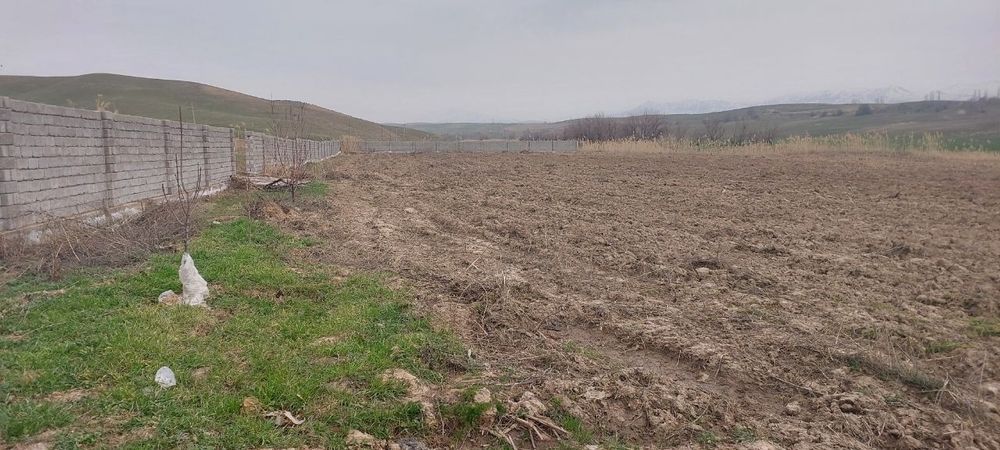 40 sotix joy ijaraga beriladi suv Svet bor