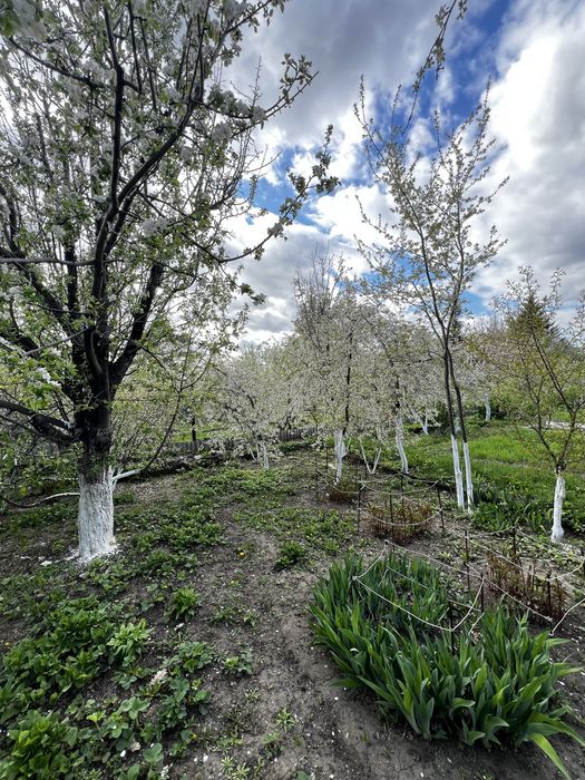 СРОЧНО!!!Продам дачу мечты