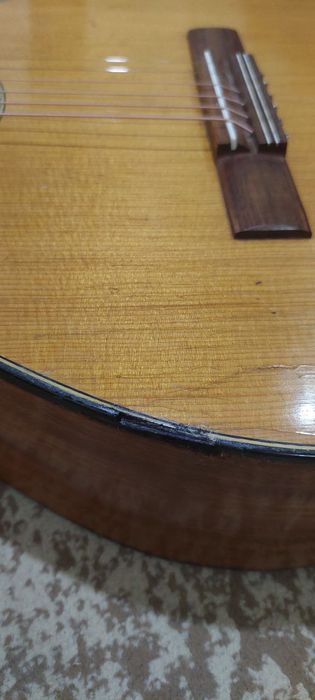 Germaniya davlatda ishlab chiqarilgan professional muzima panatur gita