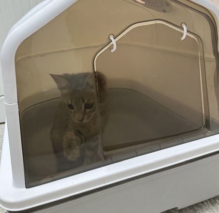 Лоток продается