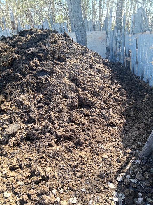 Навоз көң навоз көң тегін