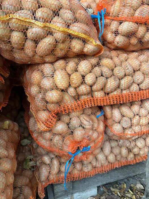 Cartofi pentru animale