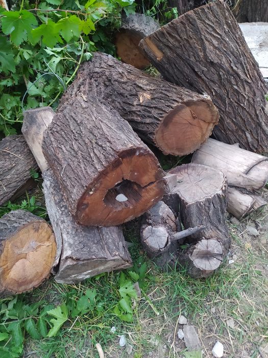 Дрова для шашлыка и бани